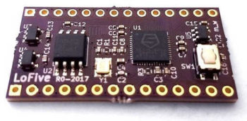 LoFive RISC-V SoC Evaluation Kit